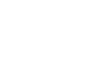 Precision Accents